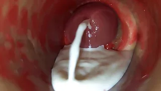 Sex Gay Porn 5